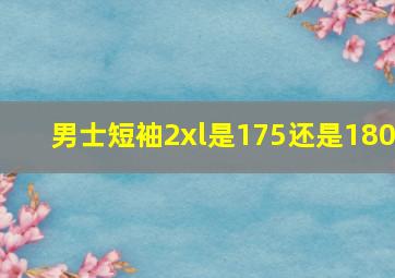 男士短袖2xl是175还是180