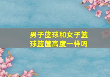 男子篮球和女子篮球篮筐高度一样吗