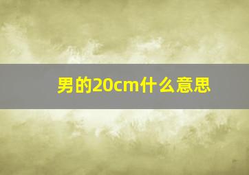 男的20cm什么意思