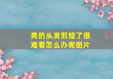 男的头发剪短了很难看怎么办呢图片