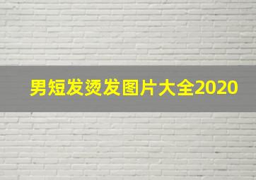 男短发烫发图片大全2020