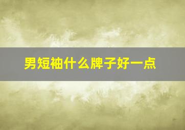 男短袖什么牌子好一点