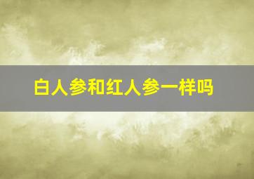 白人参和红人参一样吗