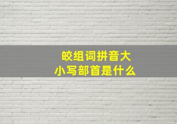 皎组词拼音大小写部首是什么