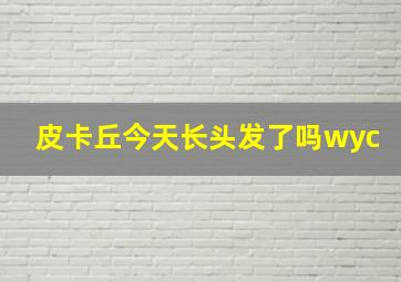 皮卡丘今天长头发了吗wyc