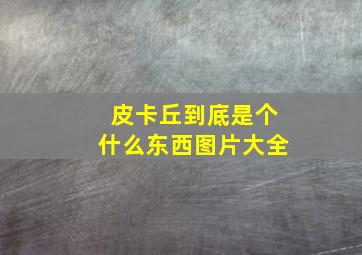 皮卡丘到底是个什么东西图片大全