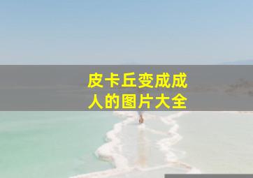 皮卡丘变成成人的图片大全