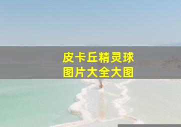 皮卡丘精灵球图片大全大图