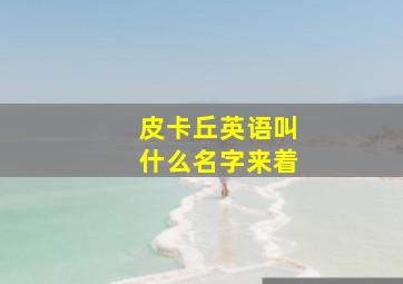 皮卡丘英语叫什么名字来着