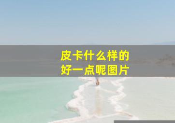 皮卡什么样的好一点呢图片