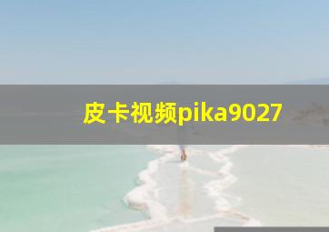 皮卡视频pika9027