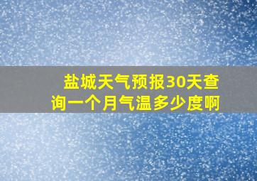 盐城天气预报30天查询一个月气温多少度啊