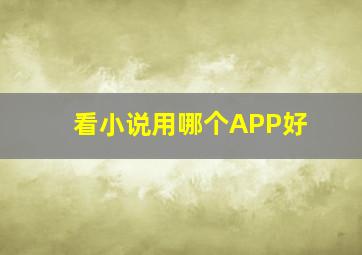 看小说用哪个APP好