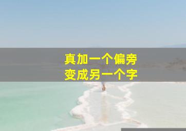 真加一个偏旁变成另一个字