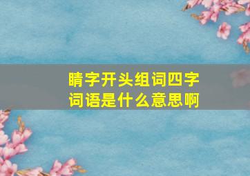 睛字开头组词四字词语是什么意思啊