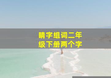 睛字组词二年级下册两个字