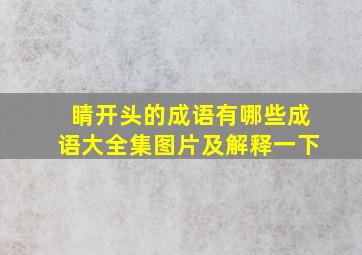 睛开头的成语有哪些成语大全集图片及解释一下