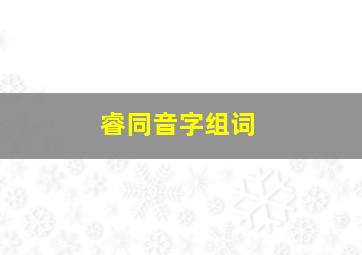 睿同音字组词