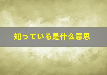 知っている是什么意思