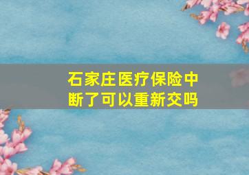 石家庄医疗保险中断了可以重新交吗