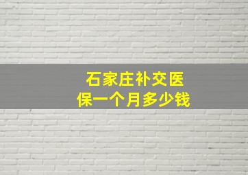 石家庄补交医保一个月多少钱