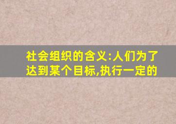 社会组织的含义:人们为了达到某个目标,执行一定的