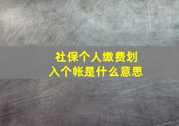 社保个人缴费划入个帐是什么意思