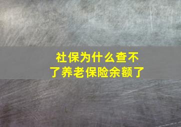 社保为什么查不了养老保险余额了