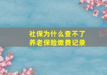 社保为什么查不了养老保险缴费记录