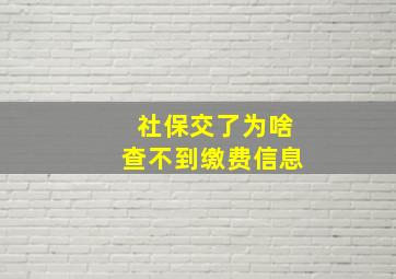 社保交了为啥查不到缴费信息