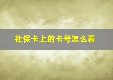 社保卡上的卡号怎么看