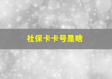 社保卡卡号是啥