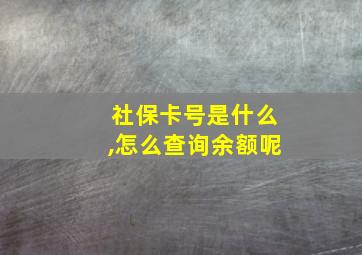 社保卡号是什么,怎么查询余额呢