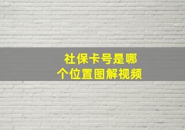 社保卡号是哪个位置图解视频