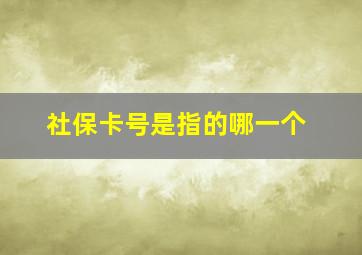 社保卡号是指的哪一个