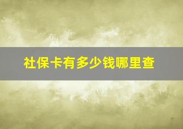 社保卡有多少钱哪里查