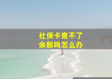 社保卡查不了余额吗怎么办