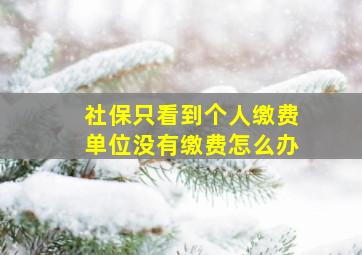 社保只看到个人缴费单位没有缴费怎么办