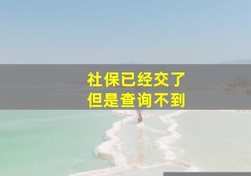 社保已经交了但是查询不到