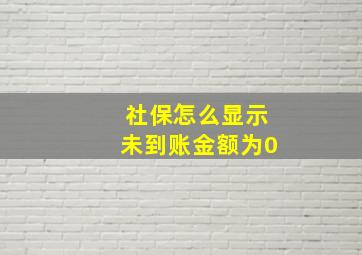 社保怎么显示未到账金额为0