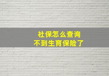 社保怎么查询不到生育保险了