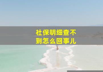 社保明细查不到怎么回事儿