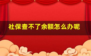 社保查不了余额怎么办呢