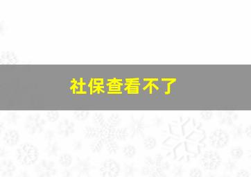 社保查看不了