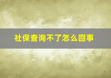 社保查询不了怎么回事