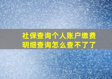 社保查询个人账户缴费明细查询怎么查不了了