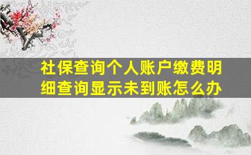 社保查询个人账户缴费明细查询显示未到账怎么办