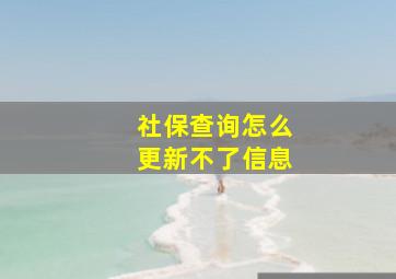 社保查询怎么更新不了信息