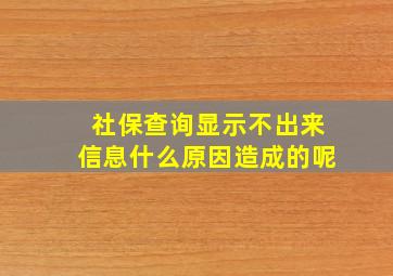 社保查询显示不出来信息什么原因造成的呢