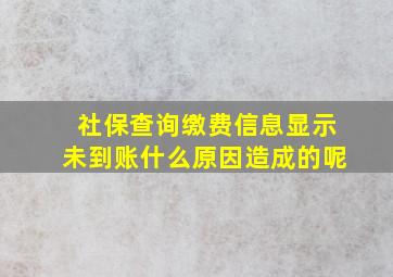 社保查询缴费信息显示未到账什么原因造成的呢